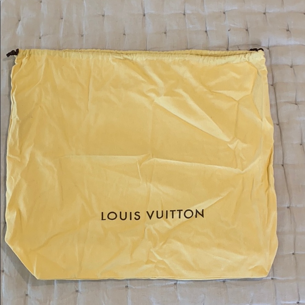 Louis Vuitton bag